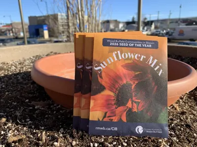 Seed of the Year 2026 is Sunflower mix