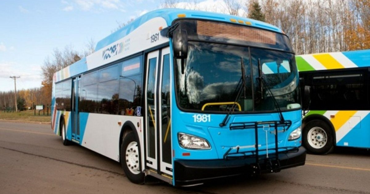 bus