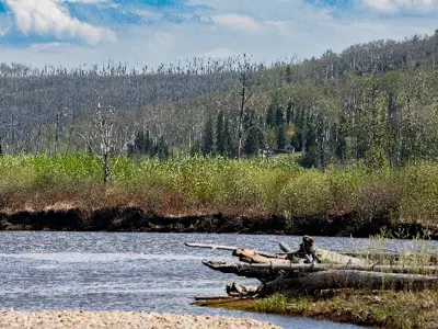 Riverbank and nature scene of Draper