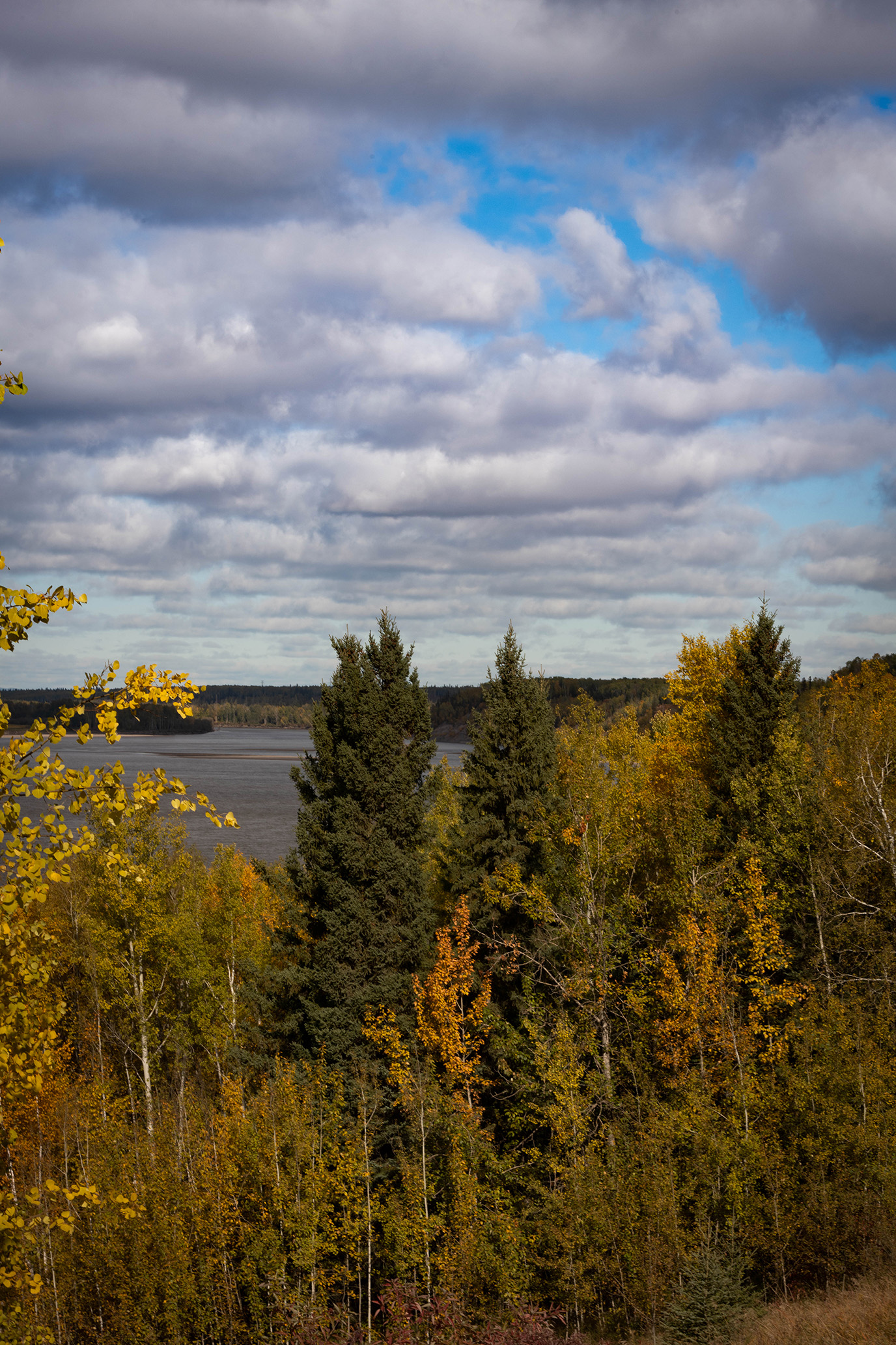 Photo of trees overlooking a lake