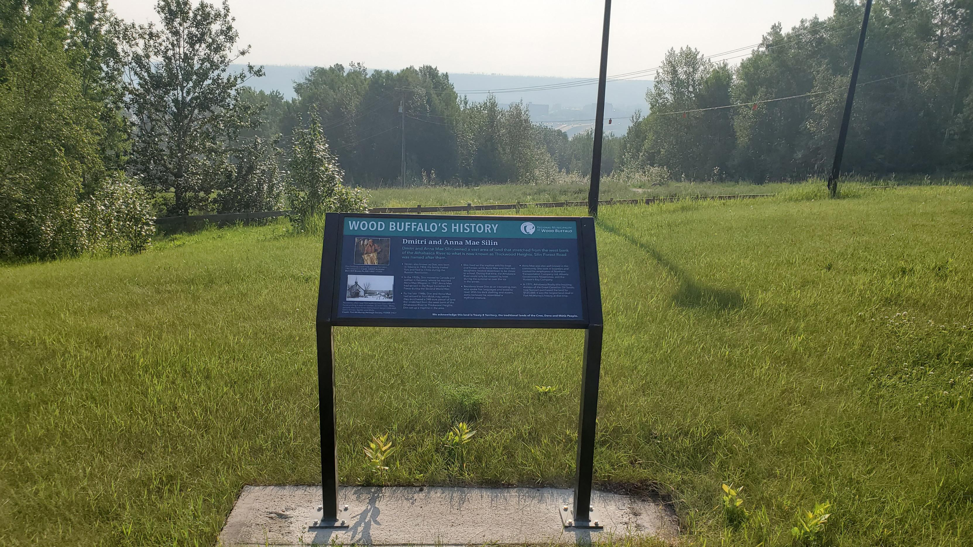 Silin Plaque