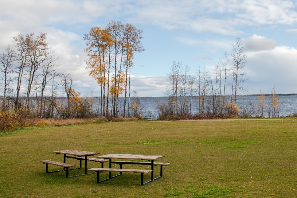 Photo of benches in park overlooking a lake