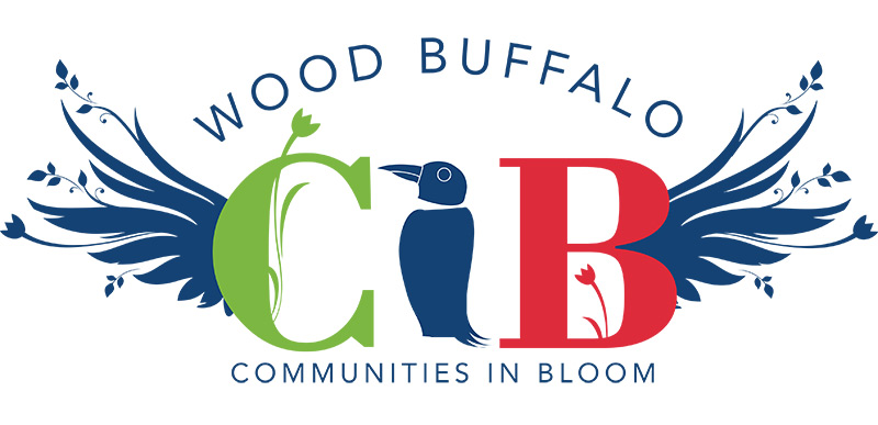 cib logo